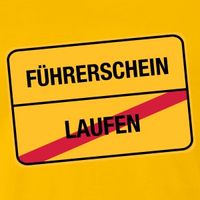 fuehrerschein (2)